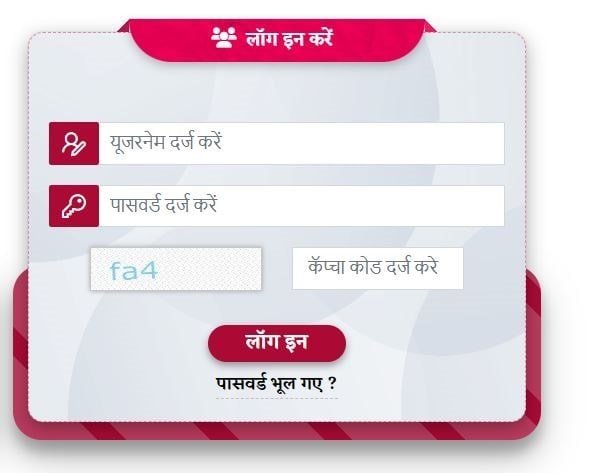 Login Form