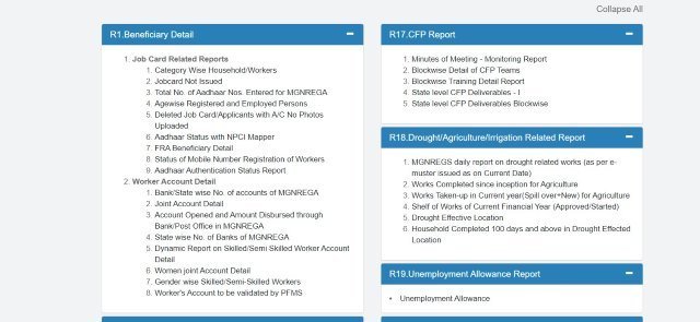Rajasthan Nrega Job Card Category Wise Household/Workers