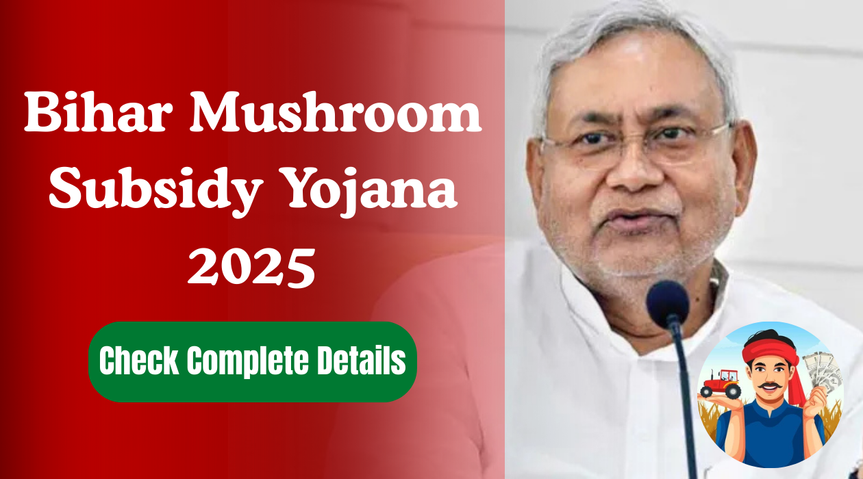 Bihar Mushroom Subsidy Yojana 2025: बिहार सरकार दे रही है 50% से 90% तक सब्सिडी, जानें पूरी जानकारी