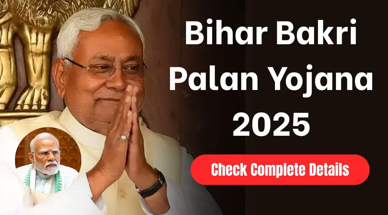Bihar Bakri Palan Yojana 2025: बिहार सरकार दे रही है सब्सिडी, ऐसे उठाएं योजना का लाभ