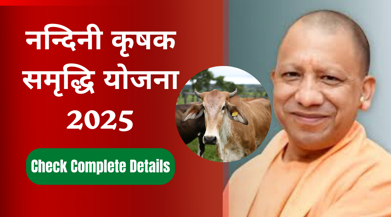 नन्दिनी कृषक समृद्धि योजना 2025